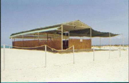 djibouti iles moucha